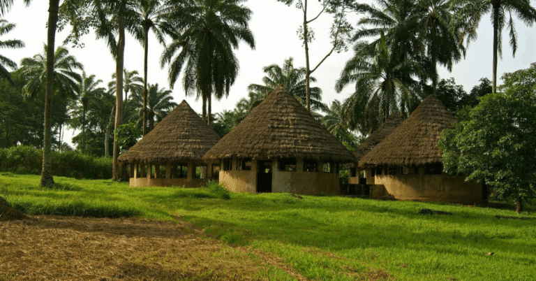 A Guide to Digital Nomad Life Best Countries to Work Remotely